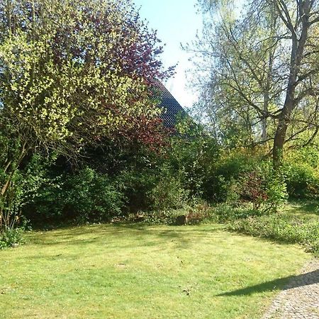 Sonniges Haeuschen Mit Garten Брауншвайг Екстериор снимка